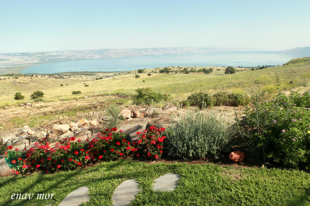 Sea Of Galilee Site Apartment Chorazim Exterior photo