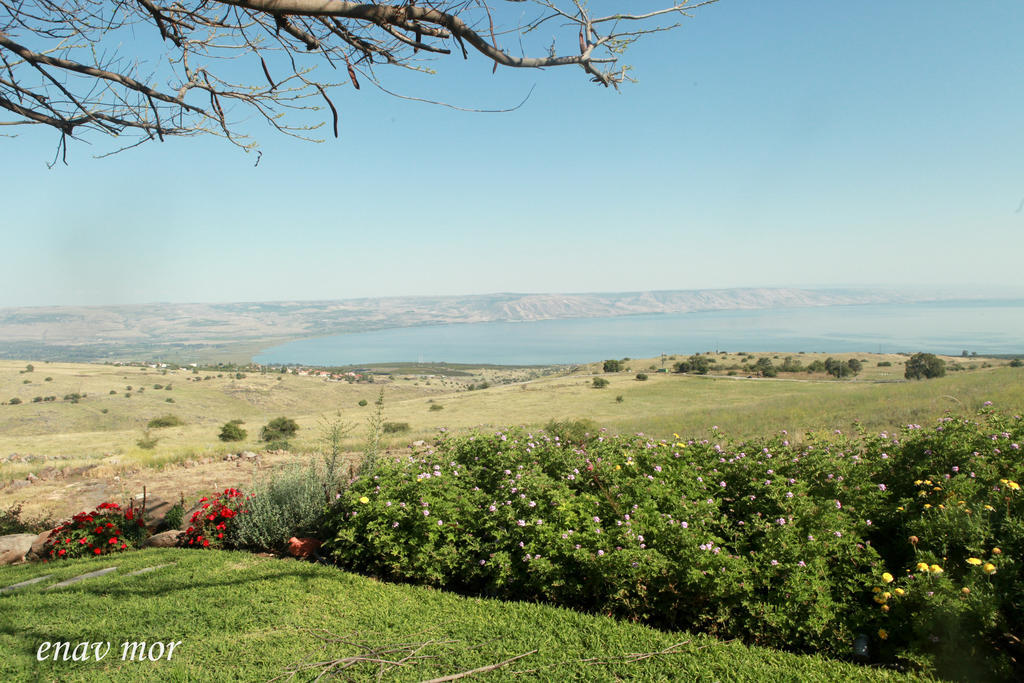 Sea Of Galilee Site Apartment Chorazim Exterior photo